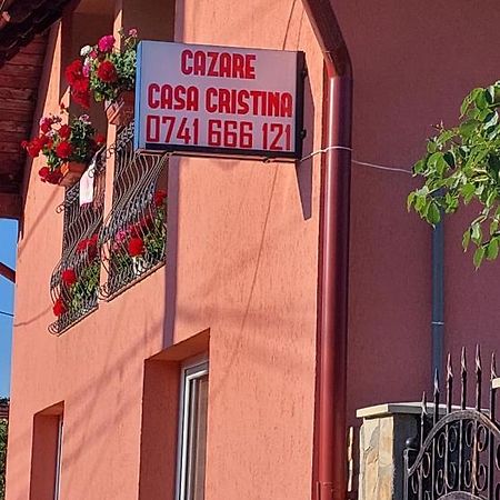 Hotel Casa Cristina Cîrţişoara Exterior foto