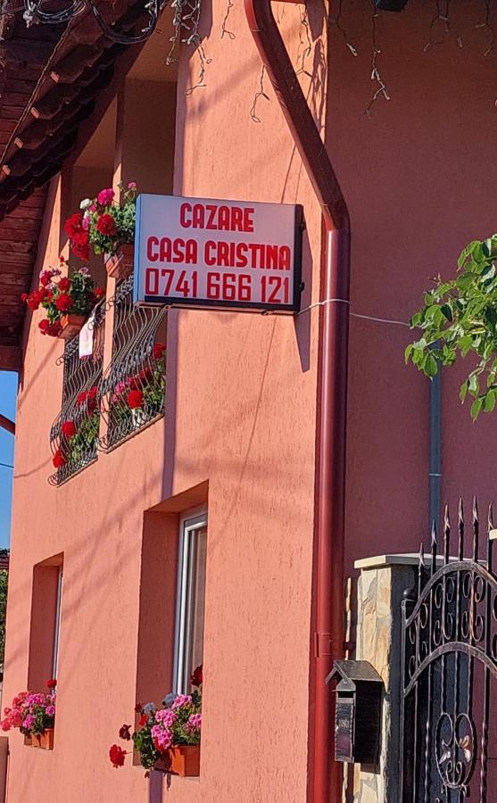 Hotel Casa Cristina Cîrţişoara Exterior foto