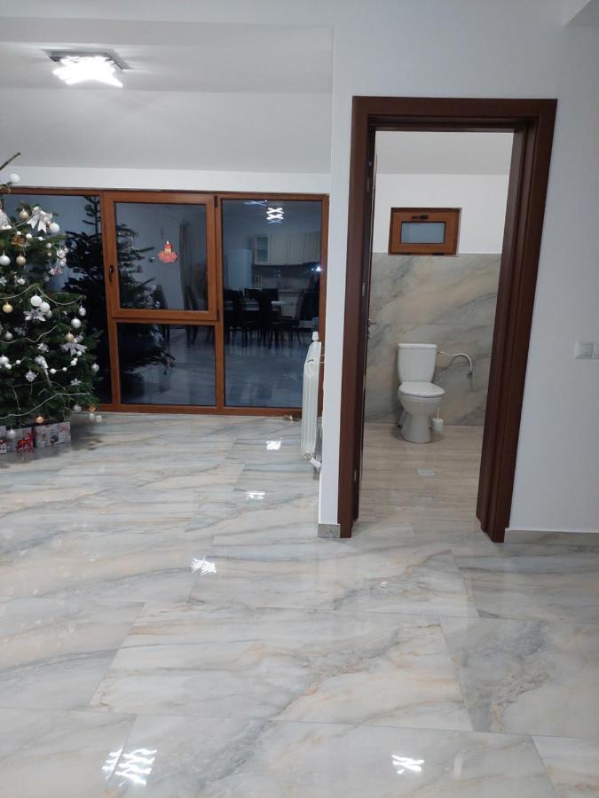 Hotel Casa Cristina Cîrţişoara Exterior foto