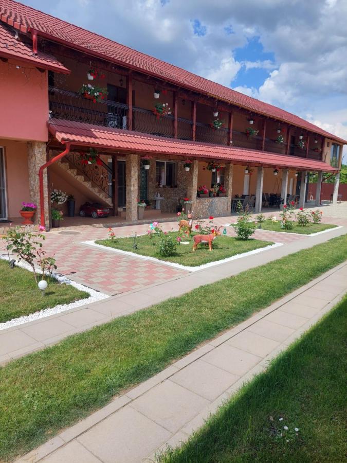 Hotel Casa Cristina Cîrţişoara Exterior foto