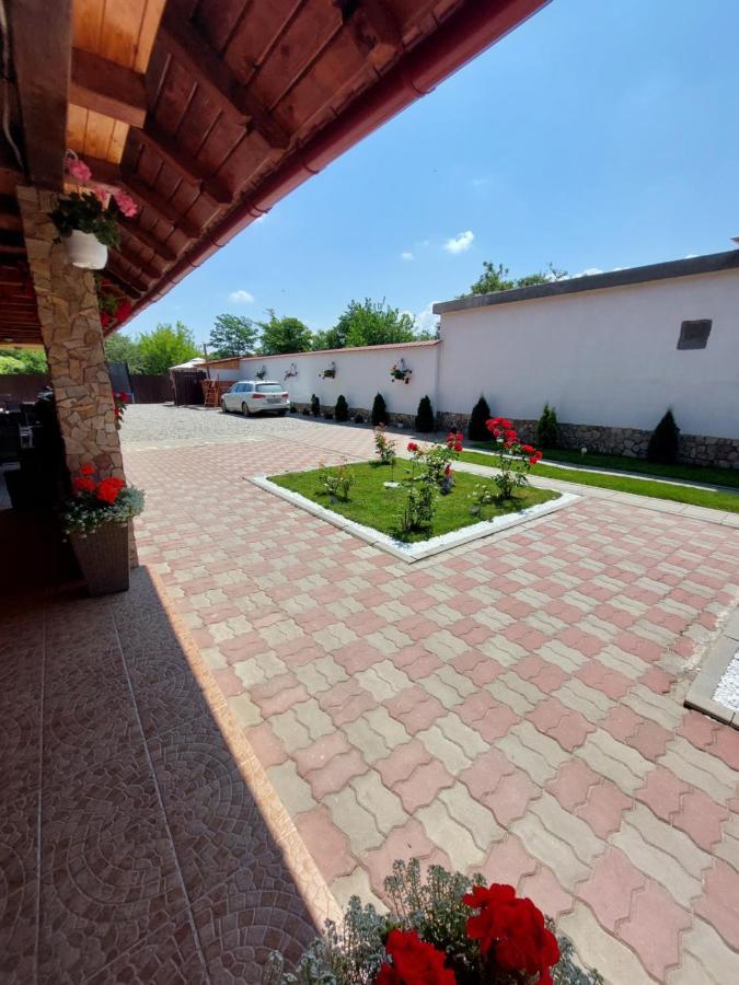Hotel Casa Cristina Cîrţişoara Exterior foto